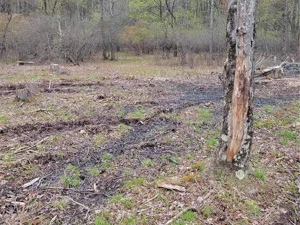 Walnut Mountain Road N, Liberty, NY 12754