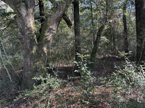 0 Sands Dr, Mobile, AL 36695