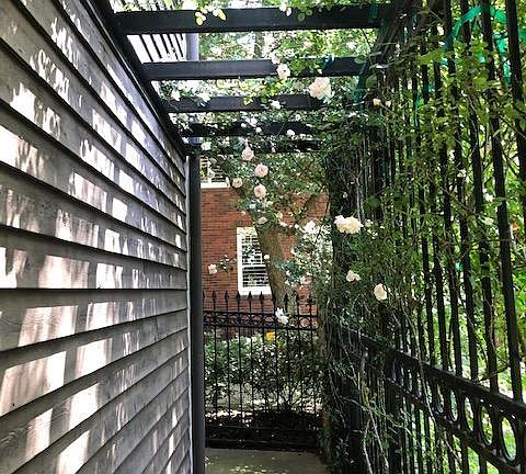 Inside rose covered walk way