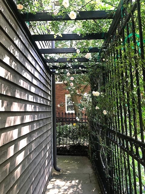 Inside rose covered walk way