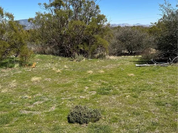 44805 Chapman Rd, Anza, CA 92539