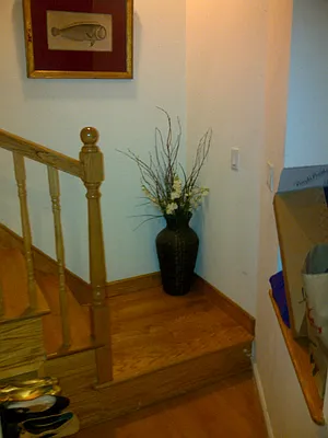 Rented by Oxford Property Group | media 6