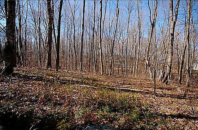 2nd image of 5 Colony Rd