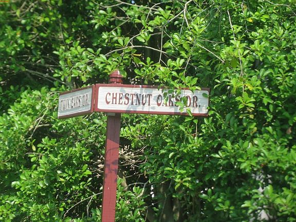 4th image of 212 Chestnut Oaks Dr