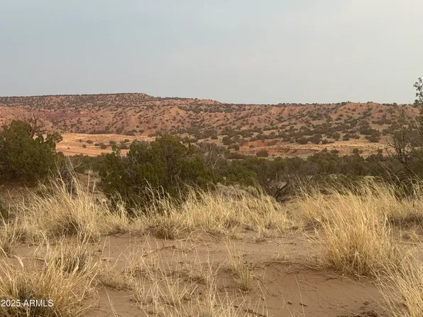 Lot 1041 Woodland Valley Ranch -- #1041, St Johns, AZ 85936