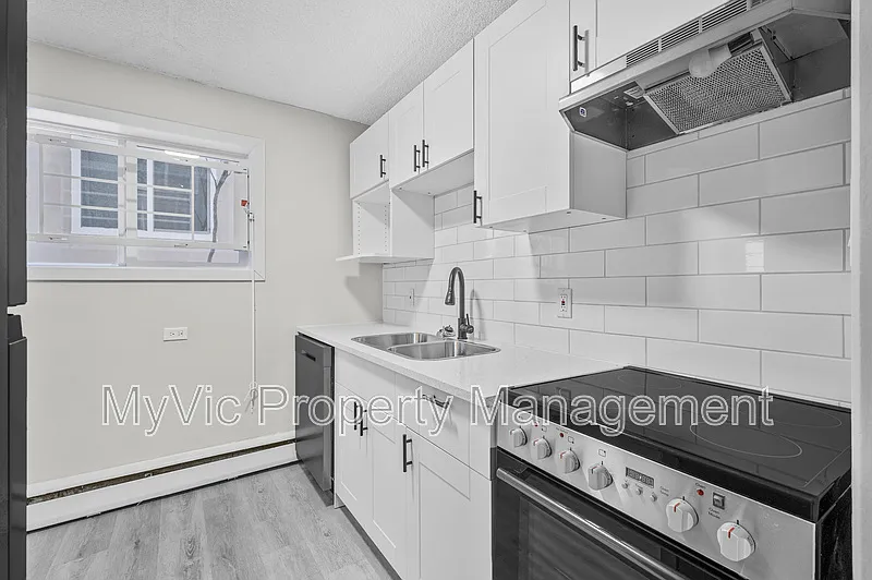 Studio, $1,300 — Photo 2
