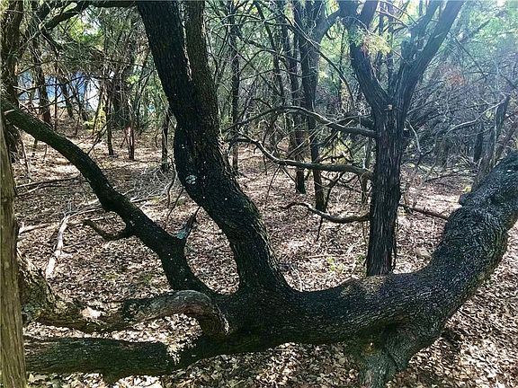 4th image of 8126 Chantilly Trl