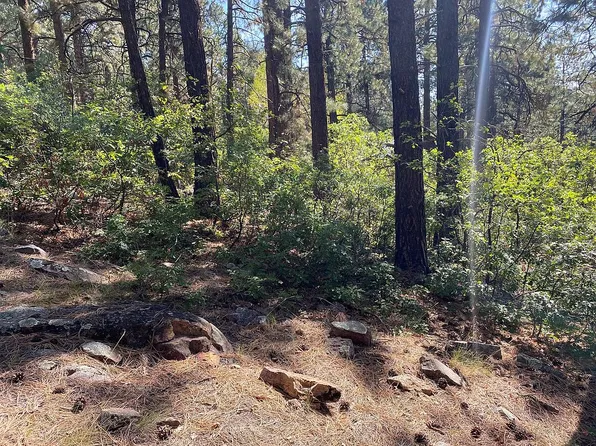 1276 Pine Tree Dr, Bayfield, CO 81122