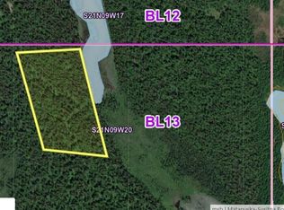 0 Name Rd, Skwentna, AK 99667