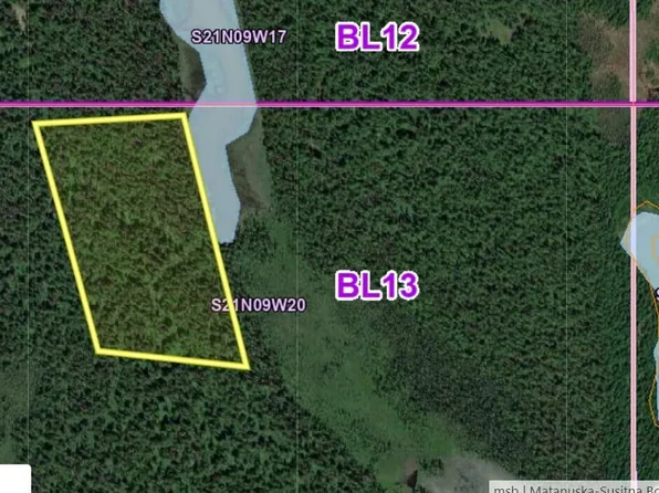 0 Name Rd, Skwentna, AK 99667