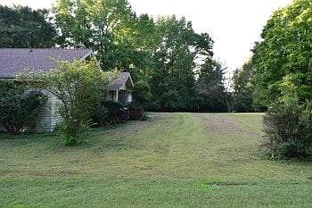 Back yard