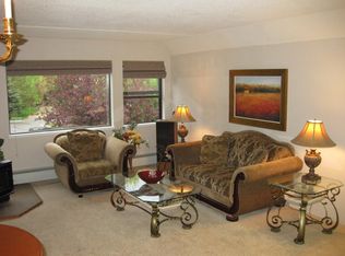 924 Vine St #924, Aspen, CO 81611