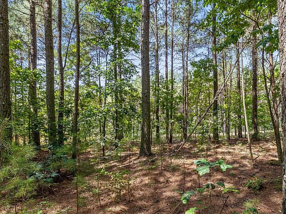 4th image of 2225 High Ground Rd Lot 2225