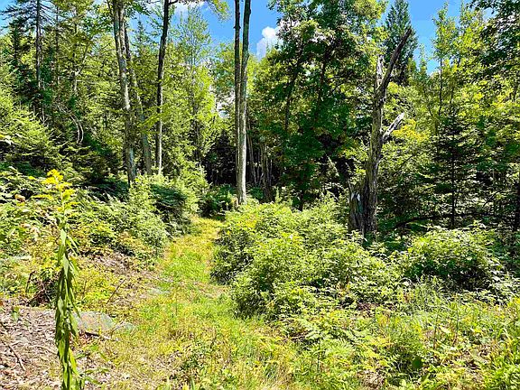 4th image of ROW Off Daniels Farm Road