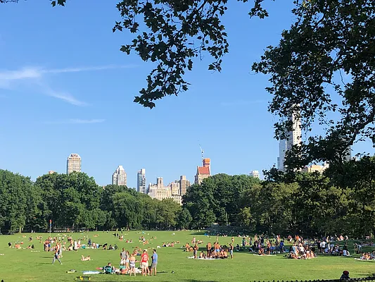 Rented by Owner | media 5