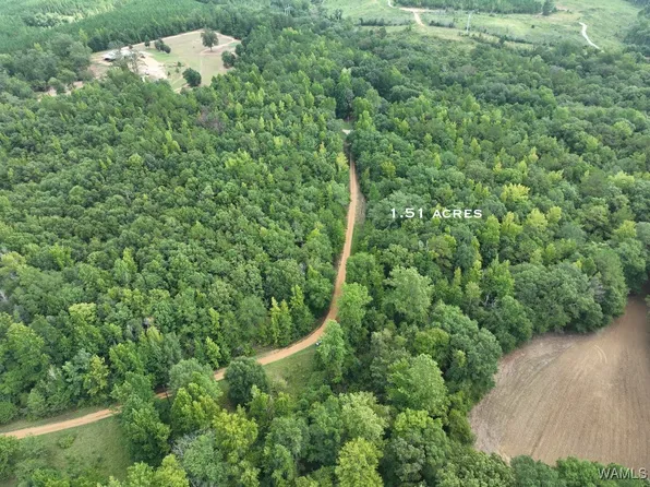 0 Twin Oaks Dr, Moundville, AL 35474