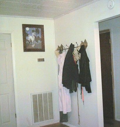 Central Heat and Air unit.