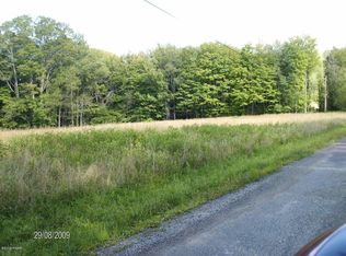 LOT 1 Gas Hollow Rd, Newfoundland, PA 18445