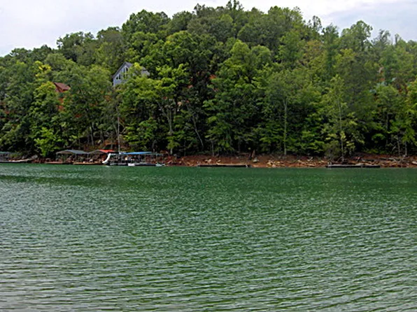 Harness Ln, Speedwell, TN 37870