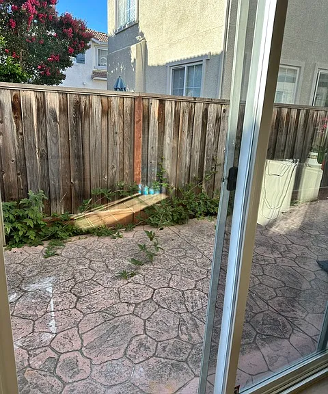 Yard