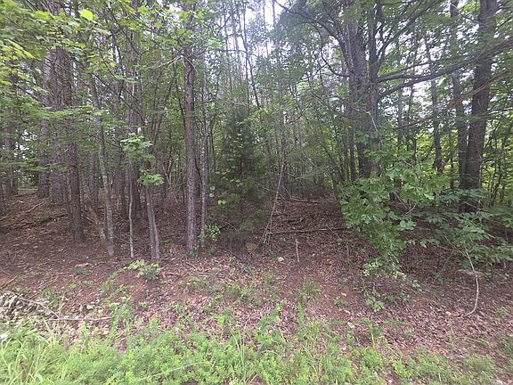 2nd image of 0 Woodland Forest Dr