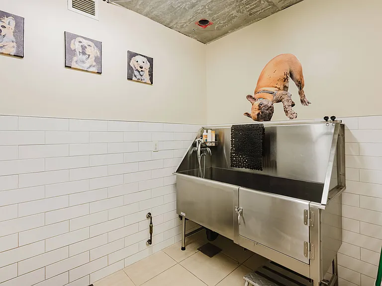 Pet Washing Station
