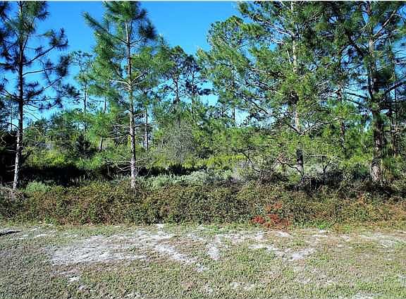 4th image of 213 Stingray Ln
