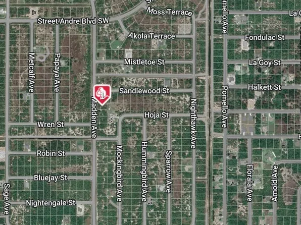 3217 Madden Ave SW #33, Palm Bay, FL 32908