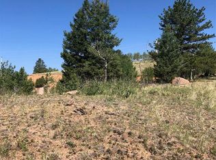 1101 Dandy Jim Dr, Cripple Creek, CO 80813