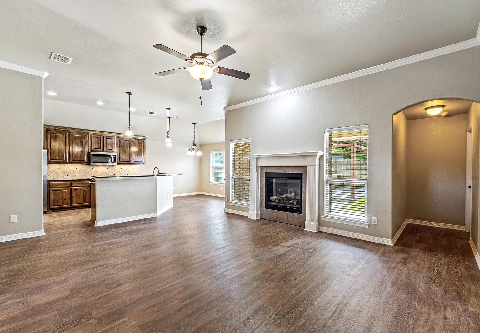 1617 Shadow Canyon Drive — Photo 4