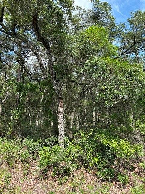 2nd image of Tba Sw Winding Hills Rd Lot 10