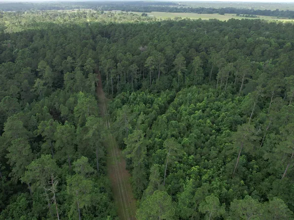 0 County Road 4020, Crockett, TX 75835