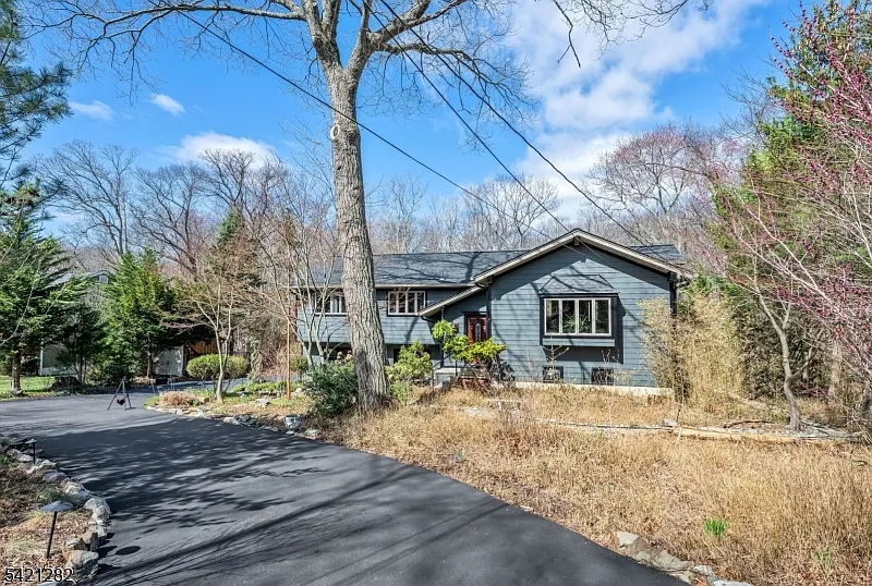 87 Buena Vista Dr photo 1