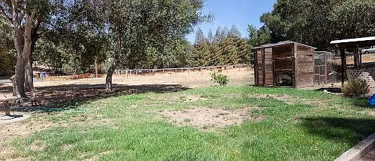 Left of garage is yard for gardening and empty chicken coop