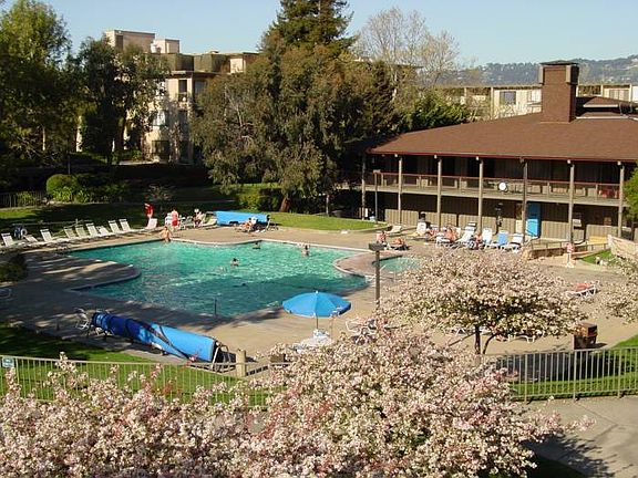 Year Round Heated Pool