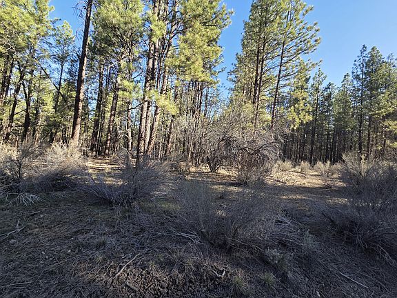 4th image of 0 Gray Wolf Ln Lot 7