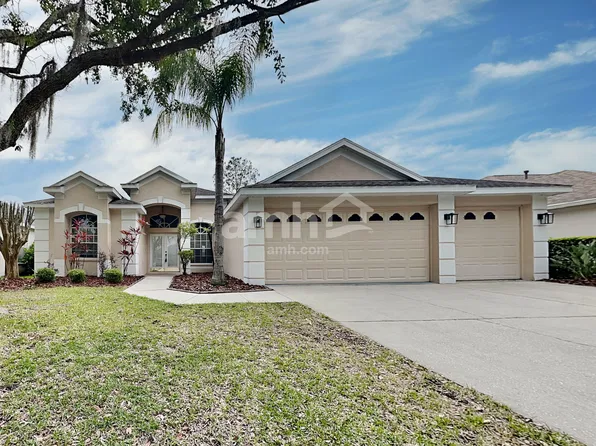 18119 Heron Walk Dr, Tampa, FL 33647