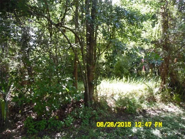 Thistle Hill Dr, Osteen, FL 32764