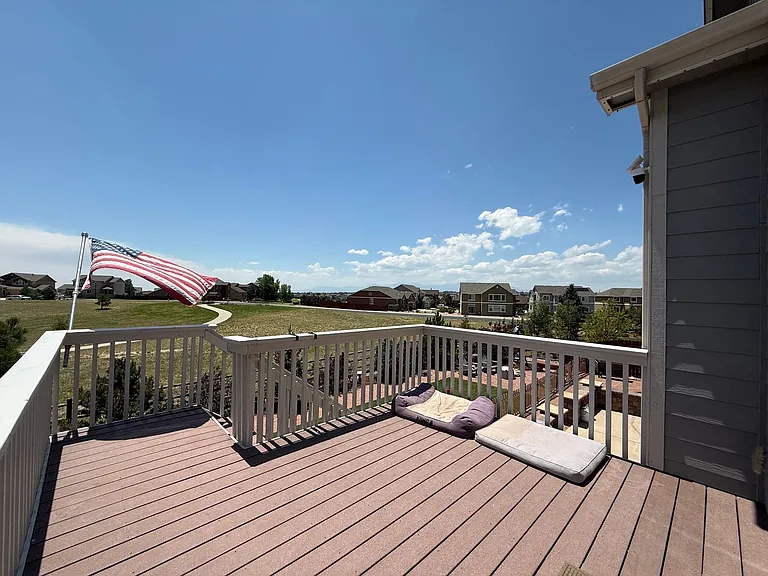 12519 Mount Lindsey Dr — Photo 26