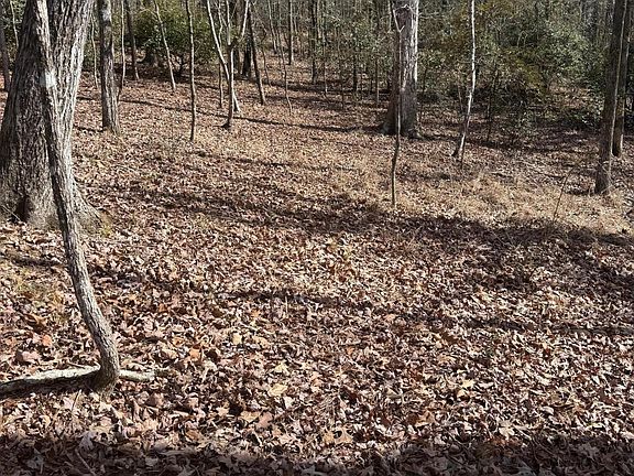 4th image of Lakeview Ridge Cir