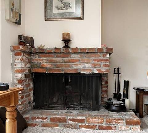 Wood-burning fireplace