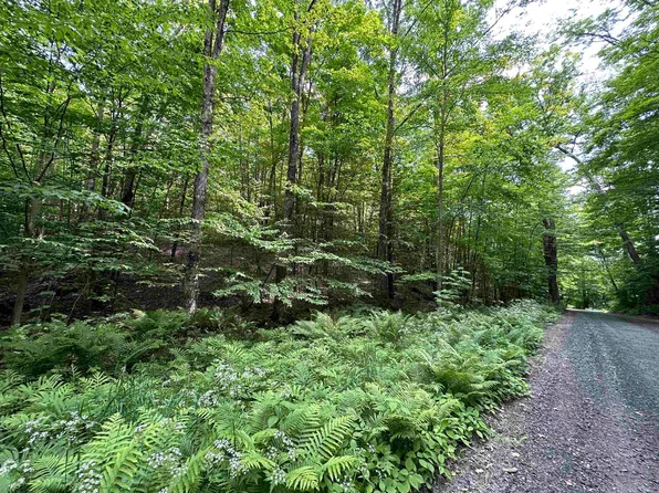 TBD Arnold Road, Bethel, VT 05032