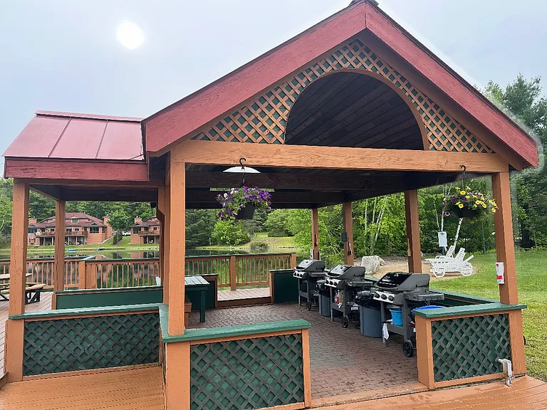 Grills (Next to the lake)