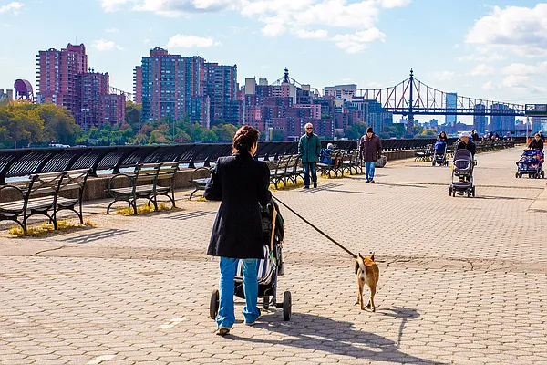 Rented by Douglas Elliman | media 54