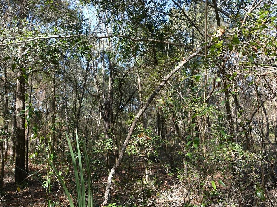 2nd image of 6459 Loch Lommond Dr