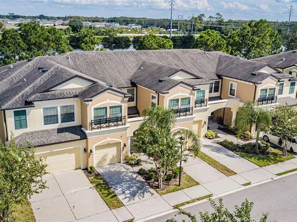 9136 Fox Sparrow Rd, Tampa, FL 33626