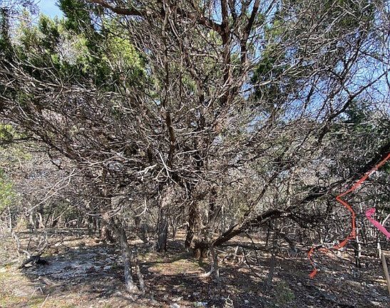 5th image of 15944 Salado Dr