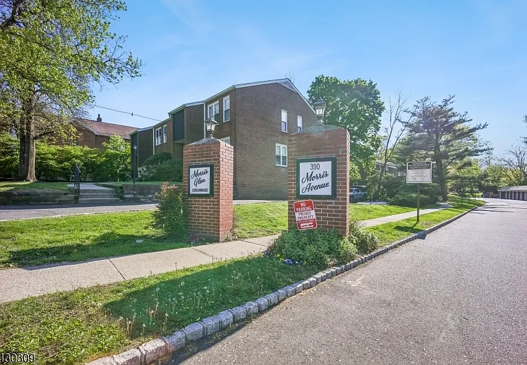 390 Morris Ave #8 — Photo 25
