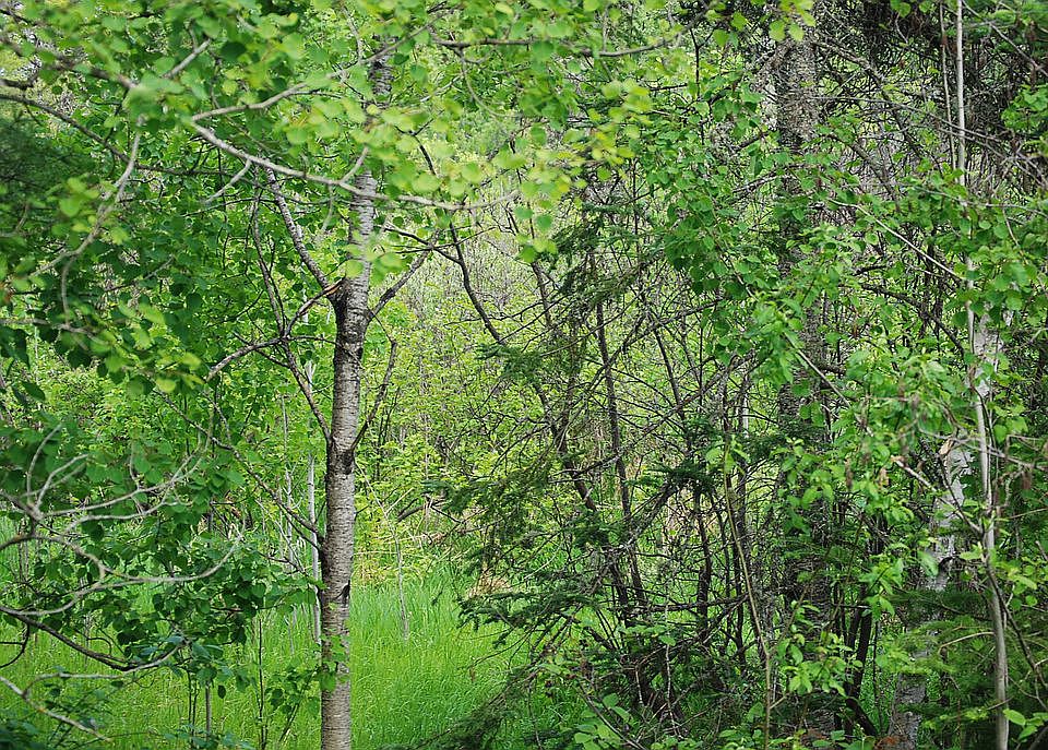 2nd image of 65XB Locust Rd