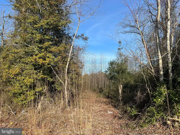 6 W Shortly Rd, Millsboro, DE 19966